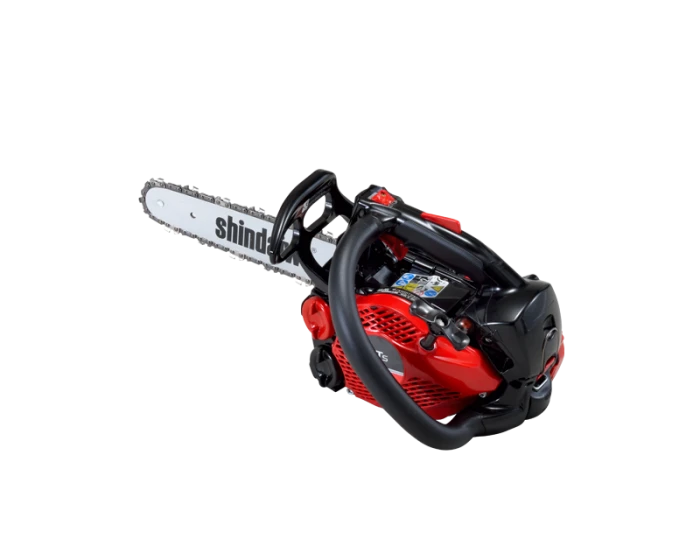 251TS en 25cm chaîne 3/8